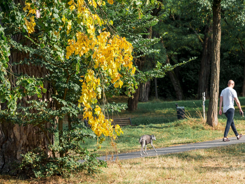 Zur Wochenmitte kühlt es im Westen ab, es bleibt aber oft spätsommerlich warm im Land.  - Foto: Daniel Vogl/dpa