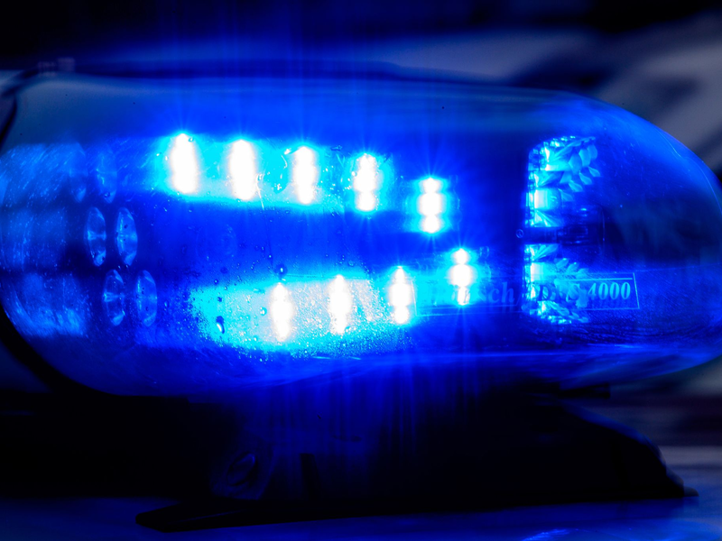 Die Polizei fand die mutmaßlichen Diebe ganz in der Nähe des Tatorts. (Symbolbild) - Foto: Klaus-Dietmar Gabbert/dpa