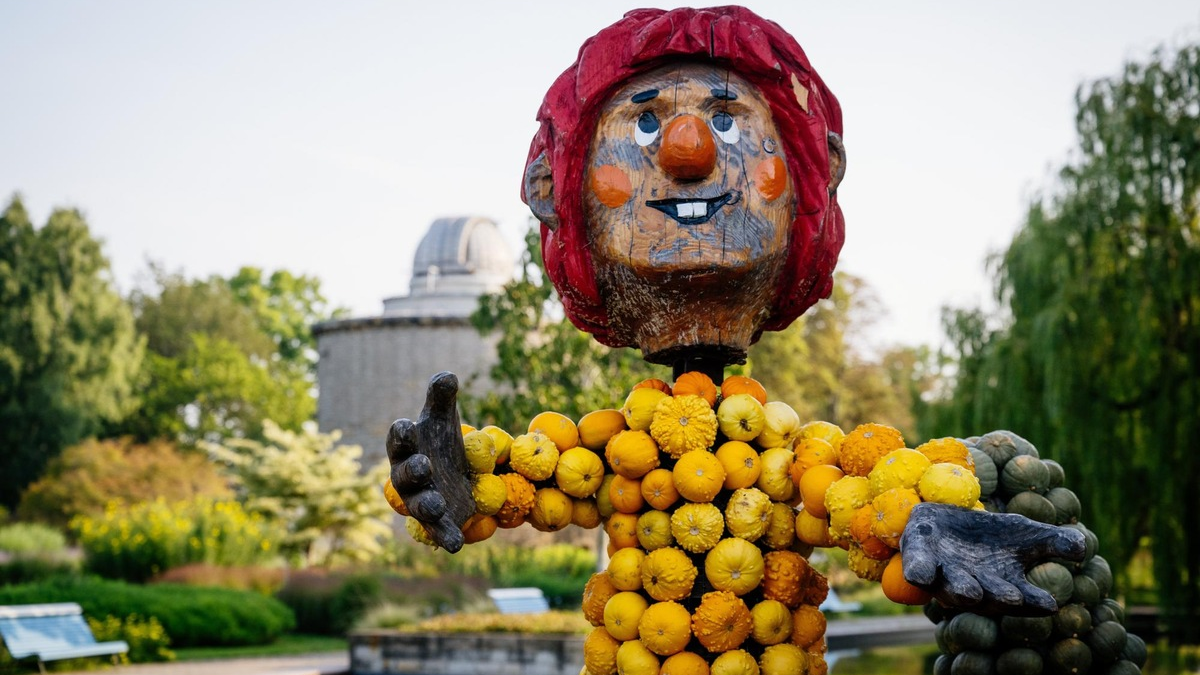 Fabelhafte Kürbiszeit im egapark- Reise in die magische Welt der Fantasie - Foto: presseportal.de