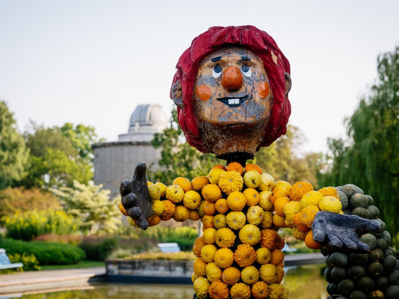 Fabelhafte Kürbiszeit im egapark- Reise in die magische Welt der Fantasie - Foto: presseportal.de