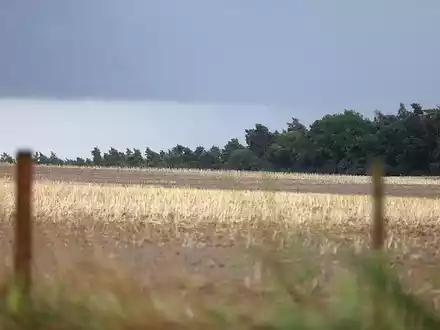 Unwetter (Archiv) - Foto: über dts Nachrichtenagentur