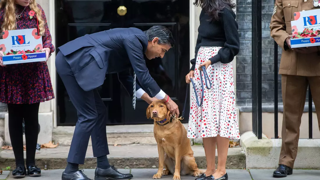 Rishi Sunaks Hund heißt Nova. (Archivbild) - Bild: Tayfun Salci/ZUMA Press Wire/dpa
