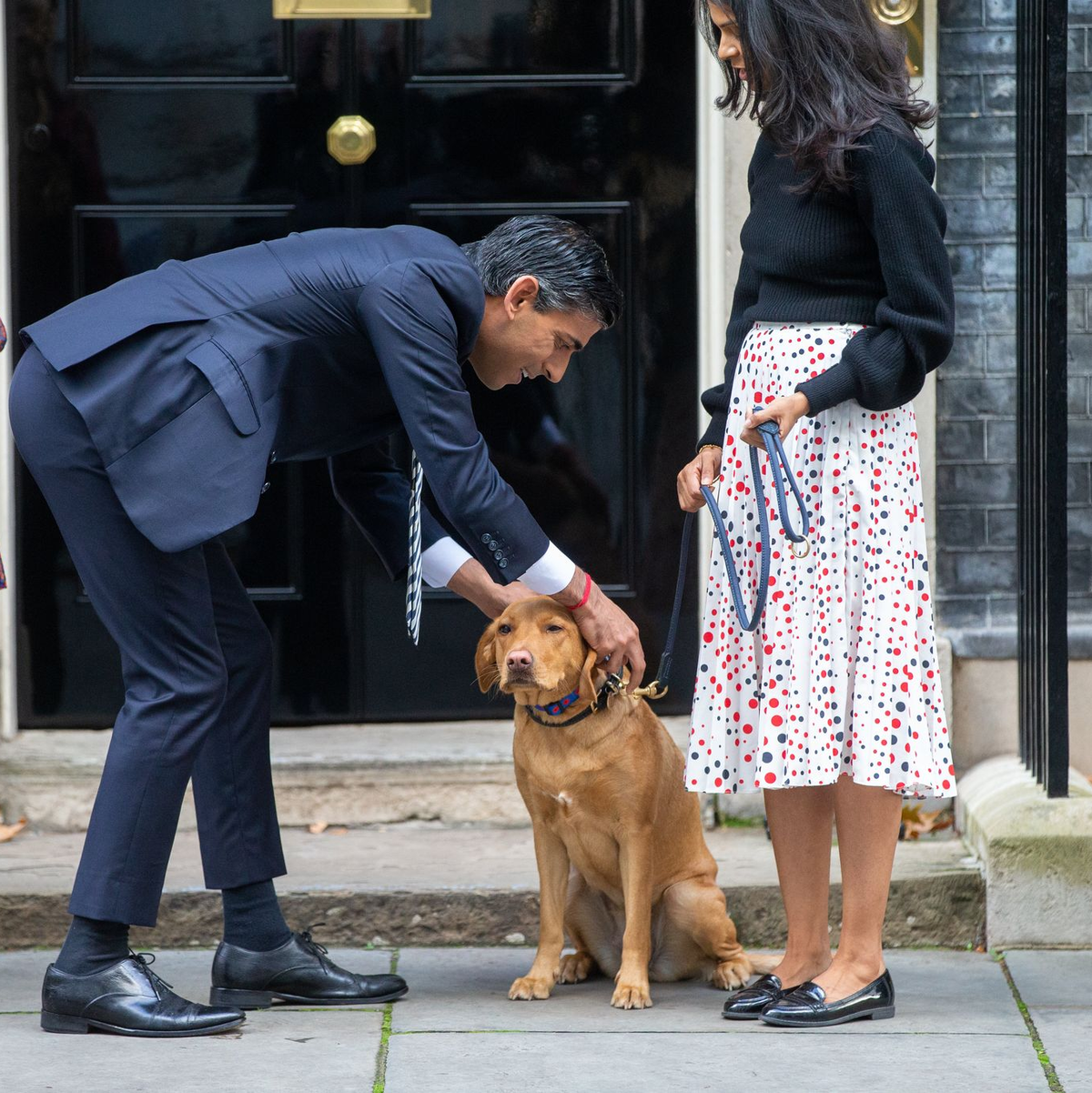 Rishi Sunaks Hund heißt Nova. (Archivbild) - Foto: Tayfun Salci/ZUMA Press Wire/dpa
