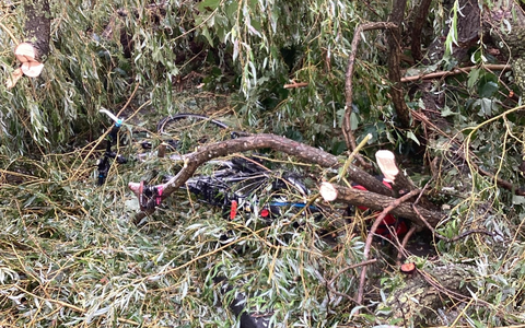 FW-GL: Fahrradfahrer in Bergisch Gladbach bei Gewitter von Baum begraben - durch Schutzengel nur leicht verletzt - Foto: presseportal.de