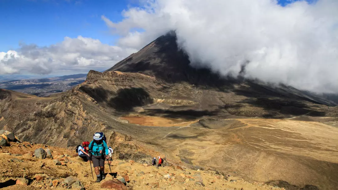 Neuseeland ist für viele eines der Traumländer schlechthin - jetzt können sie dort auch als Urlauber arbeiten. (Archivbild) - Bild: Michael Juhran/dpa-tmn