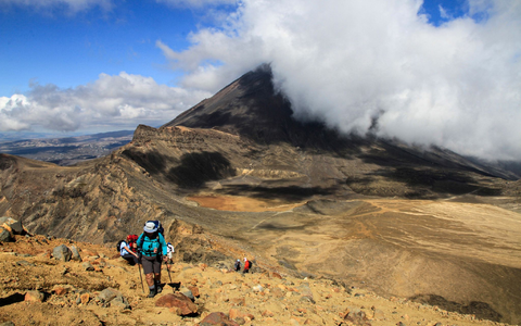 Neuseeland ist für viele eines der Traumländer schlechthin - jetzt können sie dort auch als Urlauber arbeiten. (Archivbild) - Foto: Michael Juhran/dpa-tmn