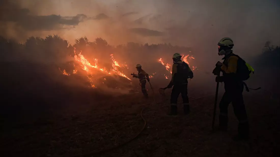 Trotz der Hitze ging die durch Waldbrände zerstörte Fläche in diesem Jahr um 46 Prozent im Vergleich zum Vorjahreszeitraum zurück.  - Bild: Alvaro Barrientos/AP