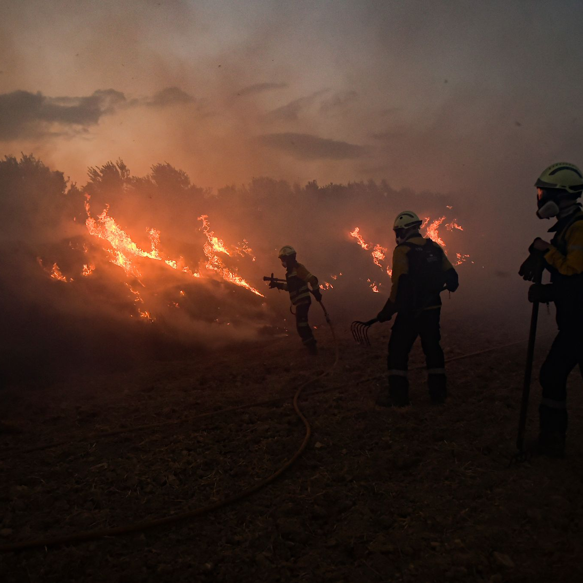 Trotz der Hitze ging die durch Waldbrände zerstörte Fläche in diesem Jahr um 46 Prozent im Vergleich zum Vorjahreszeitraum zurück.  - Foto: Alvaro Barrientos/AP