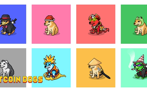  - Foto: Aneta Szalkowska