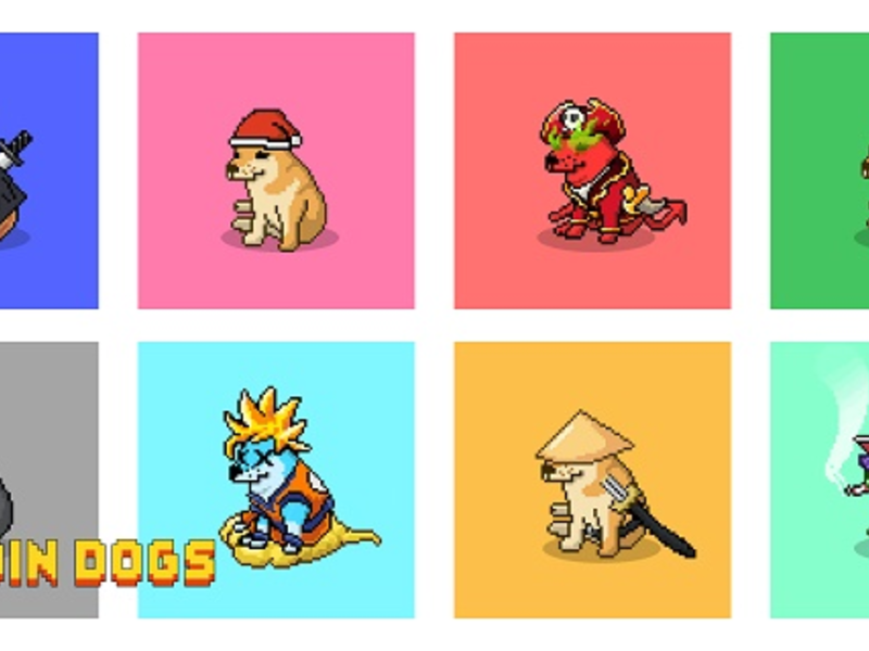  - Foto: Aneta Szalkowska