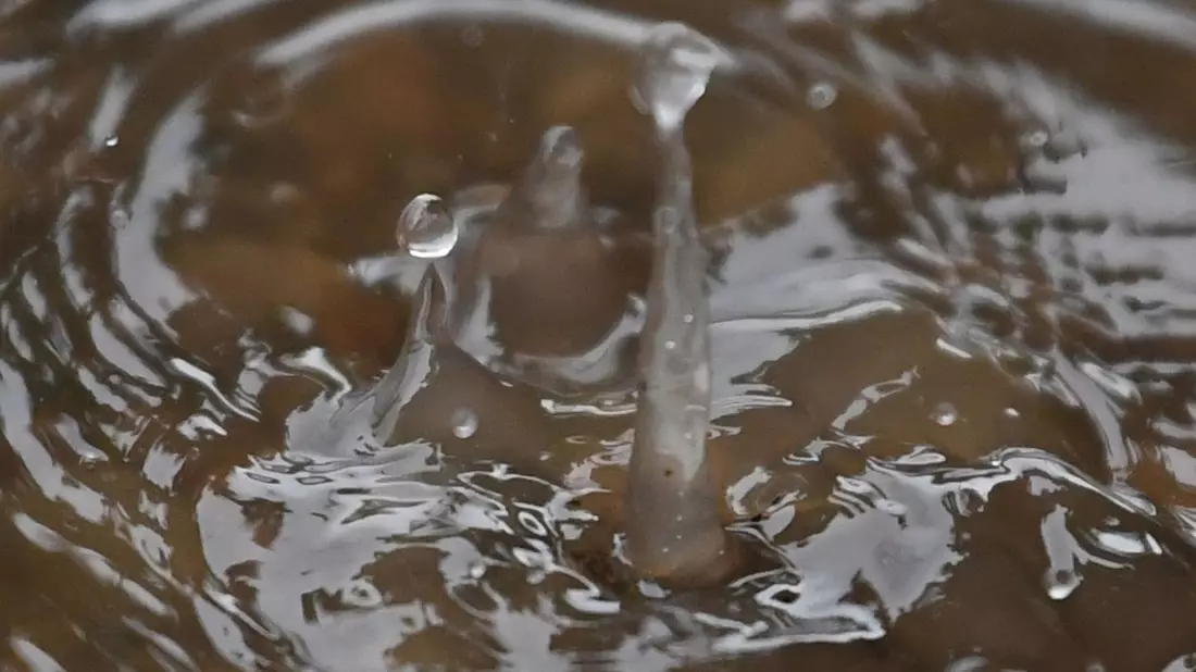Der Geruch von Sommerregen heißt Petrichor. (Archivbild) - Bild: Patrick Seeger/dpa