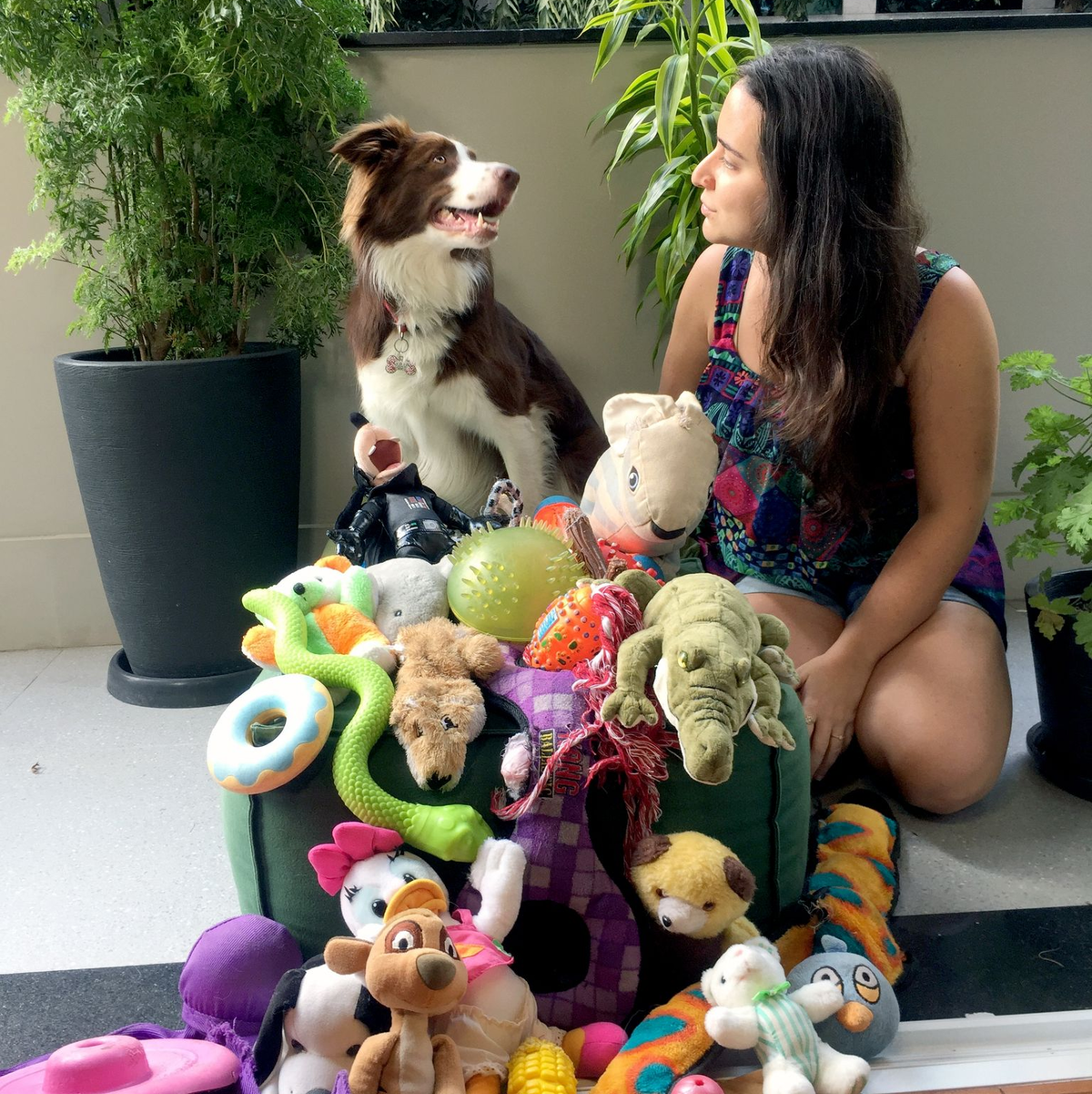 Gaia trainiert mit ihrer Besitzerin oft stundenlang. - Foto: -/Genius Dog Challenge/dpa