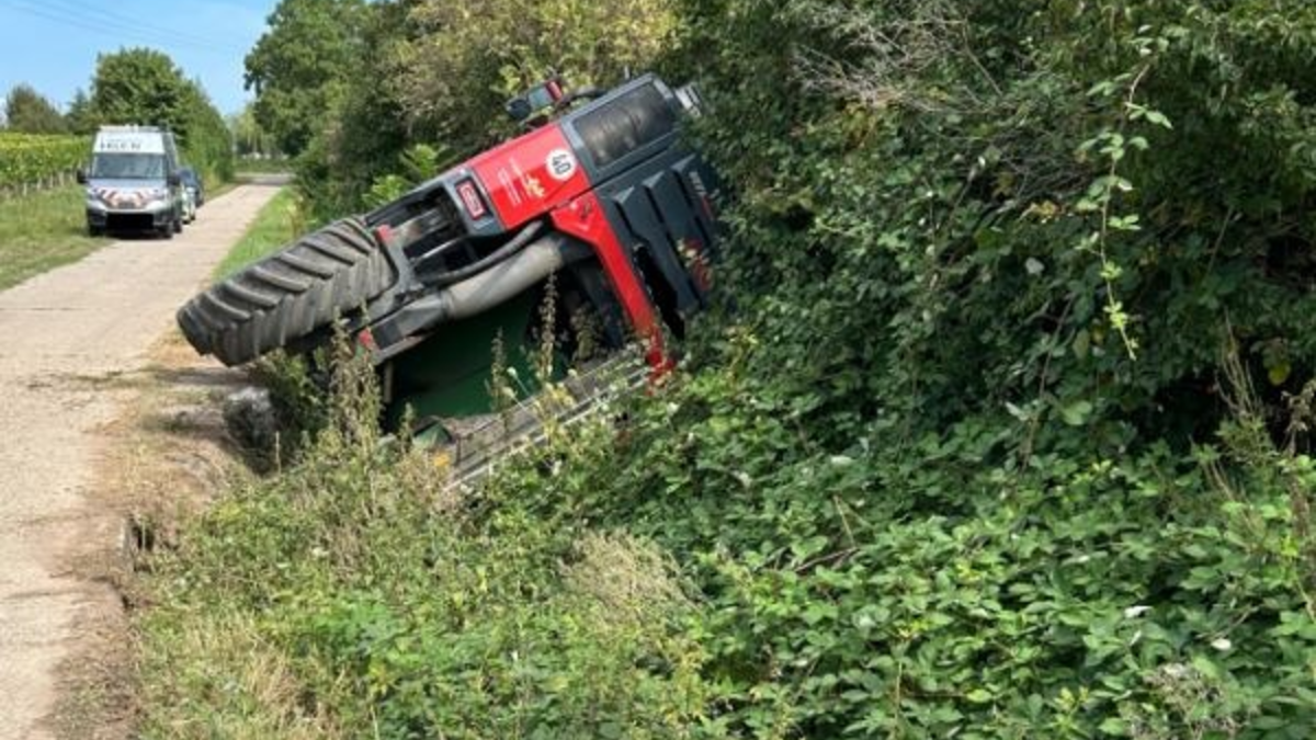 POL-PDLD: Kirrweiler - Von der Fahrbahn abgekommen - Foto: presseportal.de