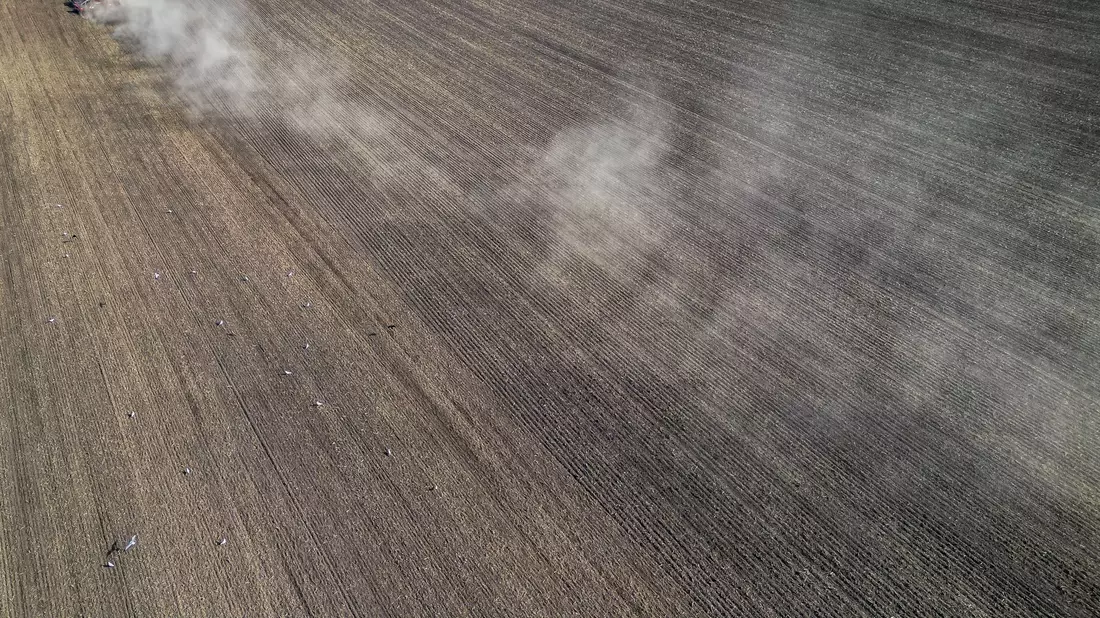 Landwirte müssen sich an den Klimawandel anpassen, die EU-Agrarpolitik ebenfalls. (Archivbild)  - Bild: Jan Woitas/dpa/ZB