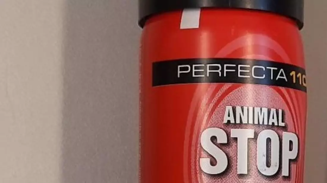 BPOL-HB: Reizgasattacke am Bahnhof Lüneburg - Bundespolizei ermittelt - Bild: presseportal.de