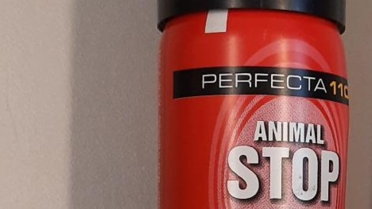 BPOL-HB: Reizgasattacke am Bahnhof Lüneburg - Bundespolizei ermittelt - Foto: presseportal.de