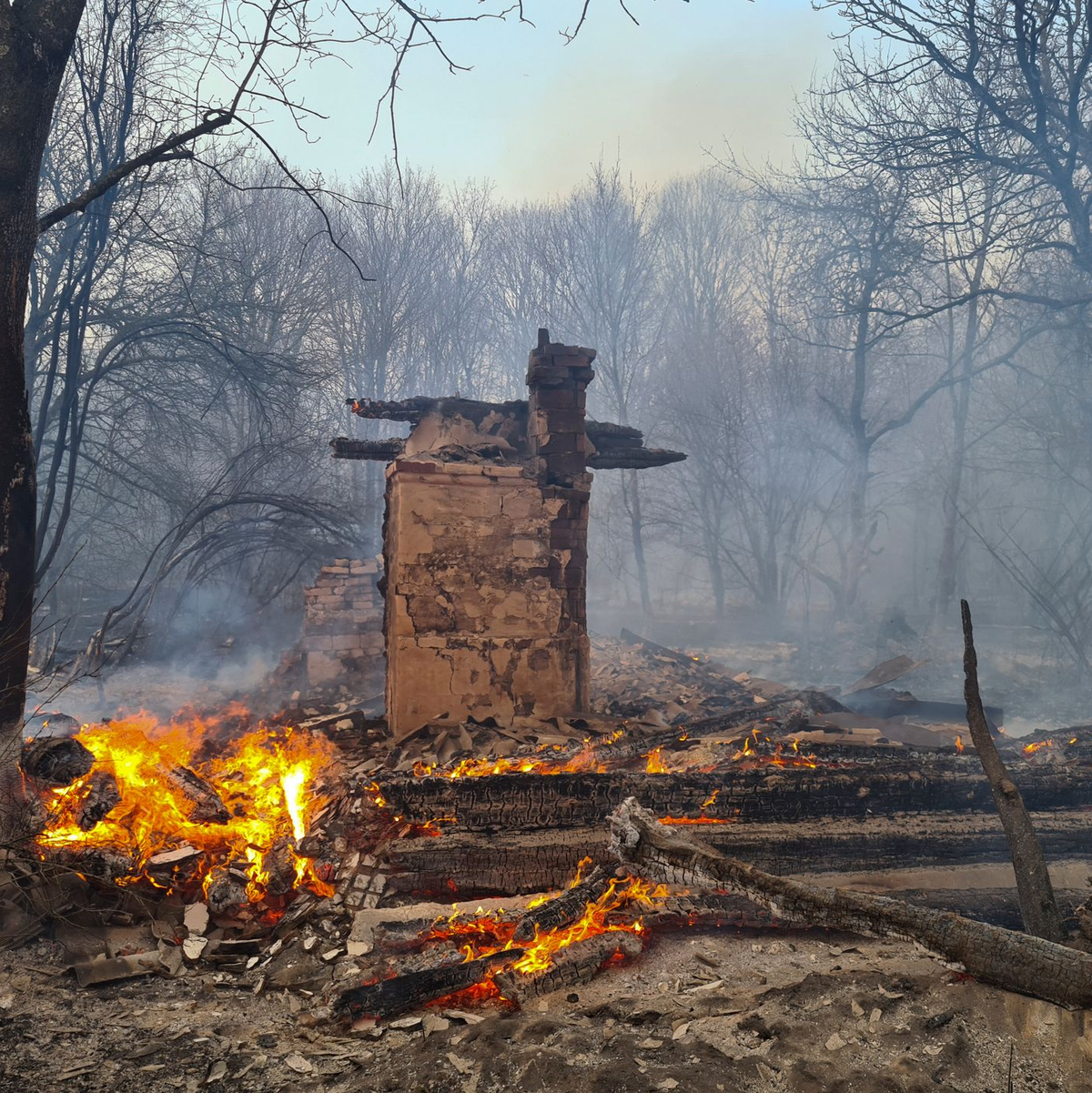 In der radioaktiv belasteten Sperrzone um das 1986 havarierte Atomkraftwerk Tschernobyl kommt es vor allem in den Sommermonaten immer wieder zu Waldbränden. (Archivfoto) - Foto: Yaroslav Yemelianenko/AP/dpa