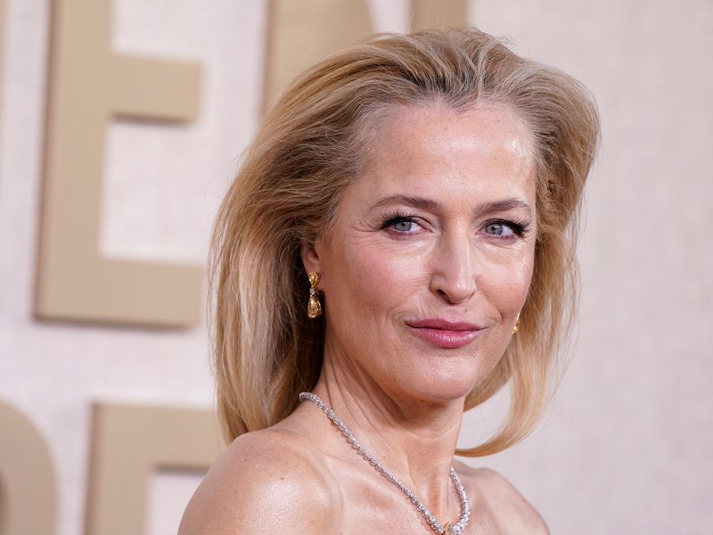 Gillian Anderson hat Frauen aufgerufen, ihr anonymisiert von ihren sexuellen Fantasien zu berichten. - Foto: Jordan Strauss/Invision via AP/dpa
