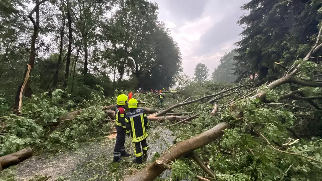 FW-OLL: Nachtrag zum Unwetter am 04. September - Über 100 Einsatzstellen beschäftigen die Feuerwehren bis spät in die Nacht - Bild: presseportal.de