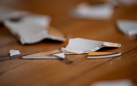 Immer wieder müssen die Behörden einschreiten. (Symbolbild) - Foto: Fabian Sommer/dpa