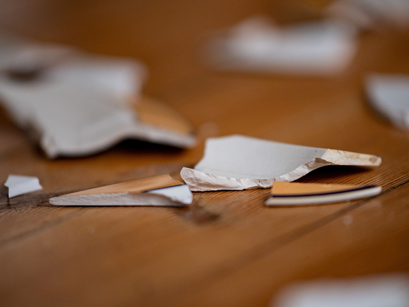 Immer wieder müssen die Behörden einschreiten. (Symbolbild) - Foto: Fabian Sommer/dpa