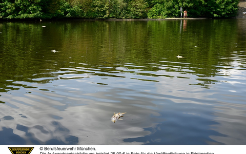 FW-M: Fischsterben im Westparksee (Westpark) - Foto: presseportal.de
