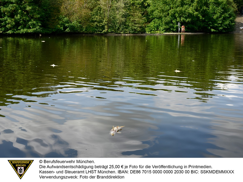 FW-M: Fischsterben im Westparksee (Westpark) - Foto: presseportal.de