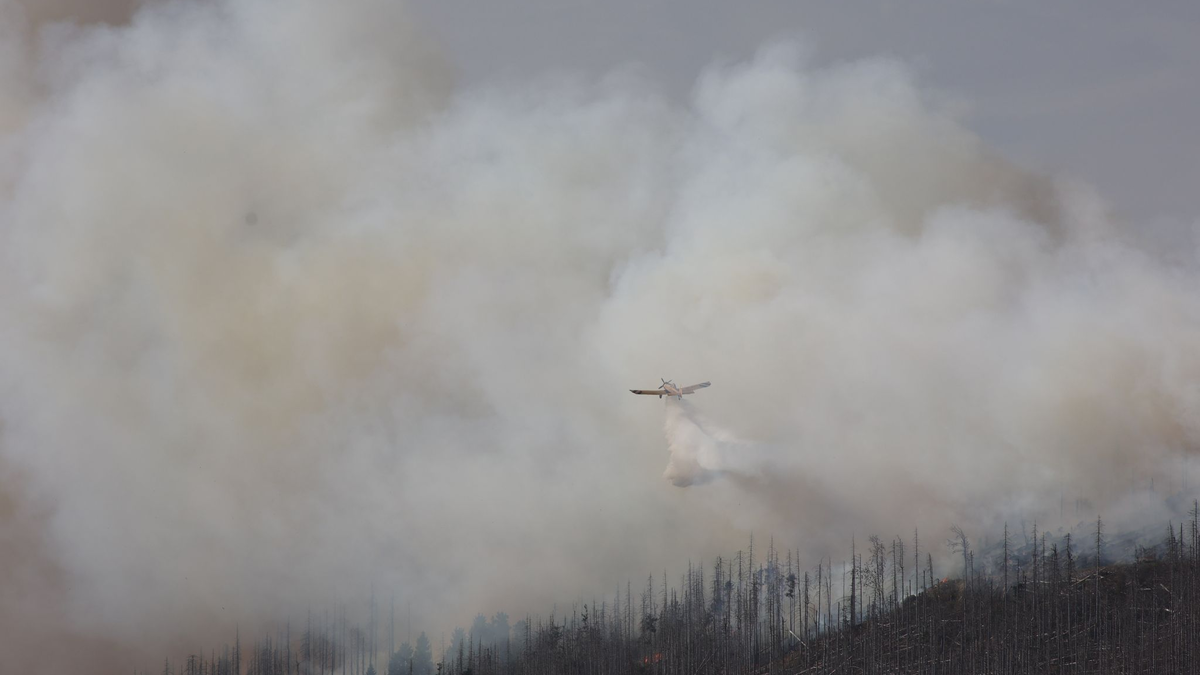 Vor zwei Jahren hatte der Landkreis Harz den Katastrophenfall wegen eines Brandes am Brocken ausgerufen - jetzt ist dort wieder ein Feuer ausgebrochen. - Foto: Matthias Bein/dpa