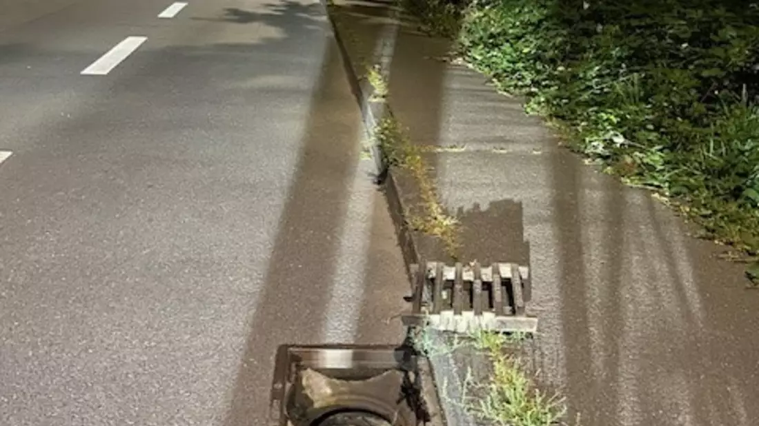 POL-PDTR: Gefährlicher Eingriff in den Straßenverkehr - Bild: presseportal.de
