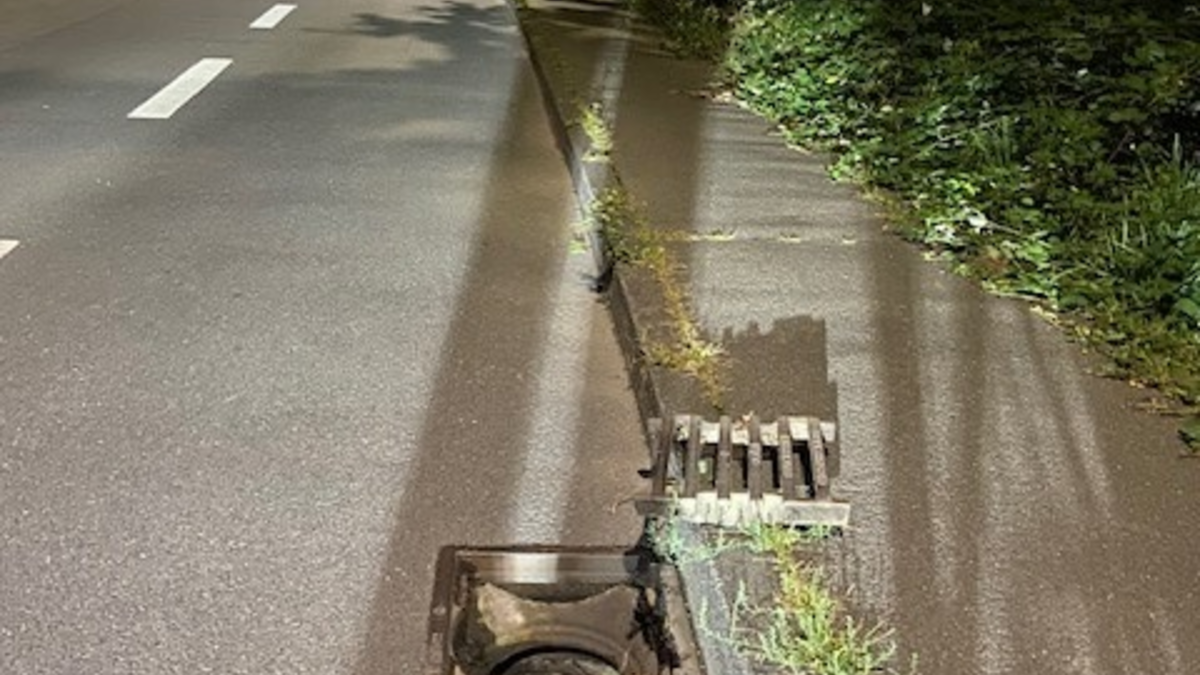 POL-PDTR: Gefährlicher Eingriff in den Straßenverkehr - Foto: presseportal.de