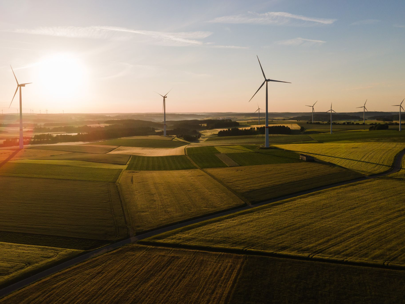  Der Klimawandel hat bei vielen das Bewusstsein für nachhaltige Anlagen geschärft. Zuletzt ist das Interesse aber gesunken. - Foto: Tom Weller/dpa/dpa-tmn