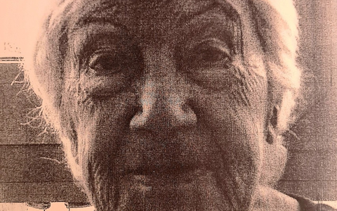 POL-F: 240908 - 0884 Frankfurt- Gutleutviertel: Fahndungsaufruf - Demente Frau aus Altenhilfezentrum vermisst - Foto: presseportal.de POL-F: 240908 - 0884 Frankfurt- Gutleutviertel: Fahndungsaufruf - Demente Frau aus Altenhilfezentrum vermisst - Foto: presseportal.de