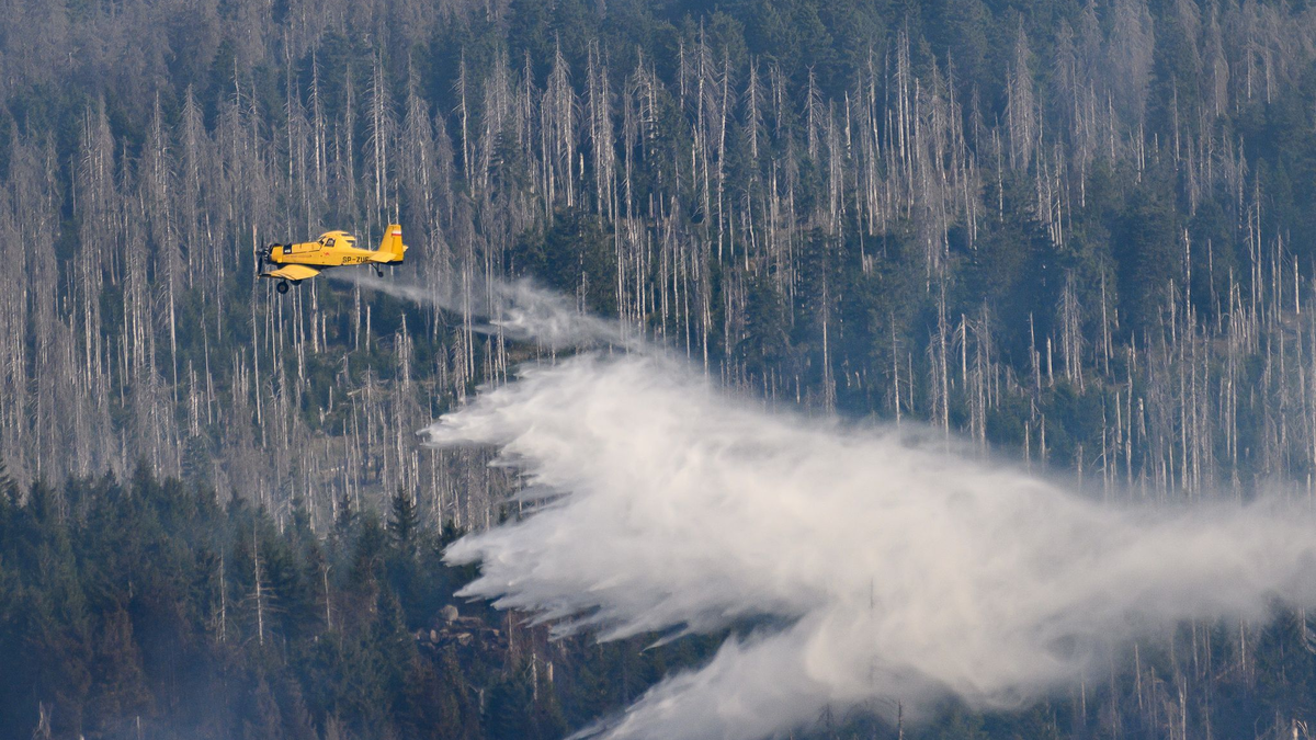 Es gibt noch mehrere Brandstellen am Brocken (Foto aktuell). - Foto: Swen Pförtner/dpa