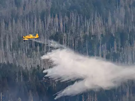 Es gibt noch drei Brandstellen am Brocken. - Foto: Swen Pförtner/dpa