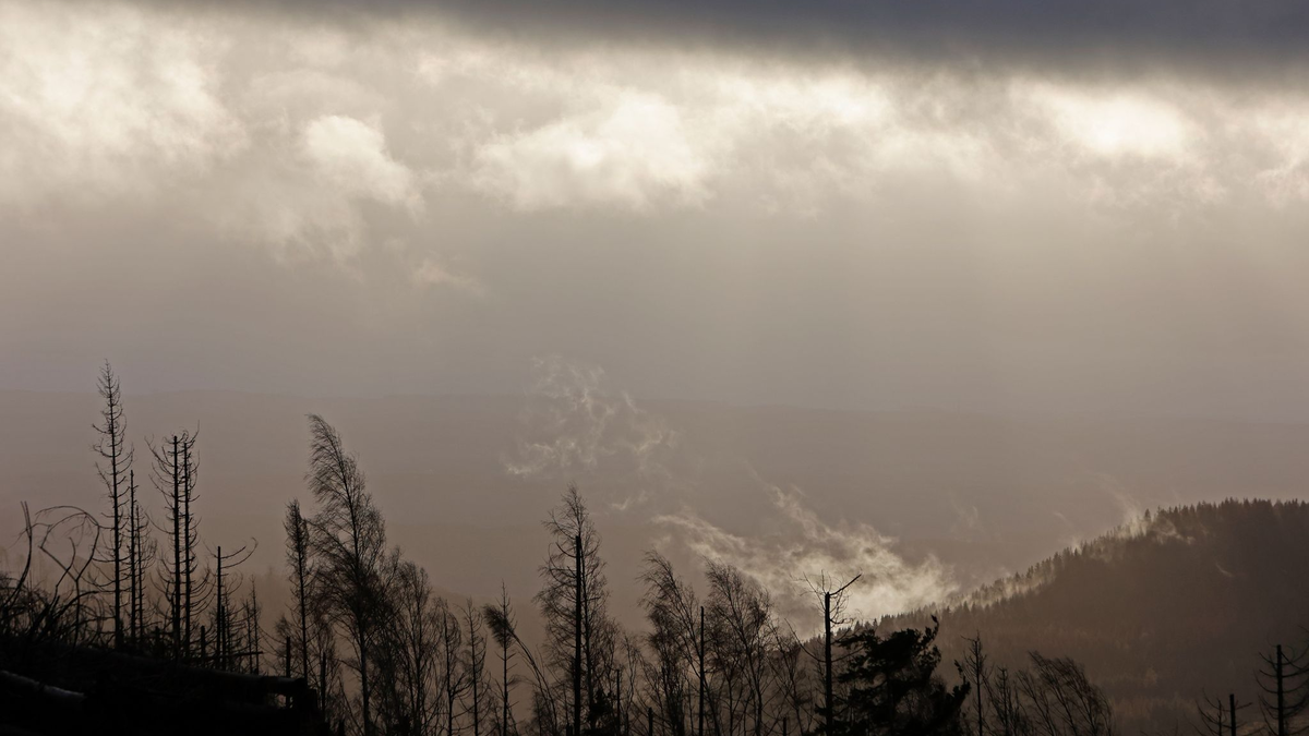 Waldbrand: Regen rund um den Brocken laut DWD ab Sonntagabend erwartet. (Archivbild) - Foto: Matthias Bein/dpa