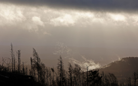 Waldbrand: Regen rund um den Brocken laut DWD ab Sonntagabend erwartet. (Archivbild) - Foto: Matthias Bein/dpa