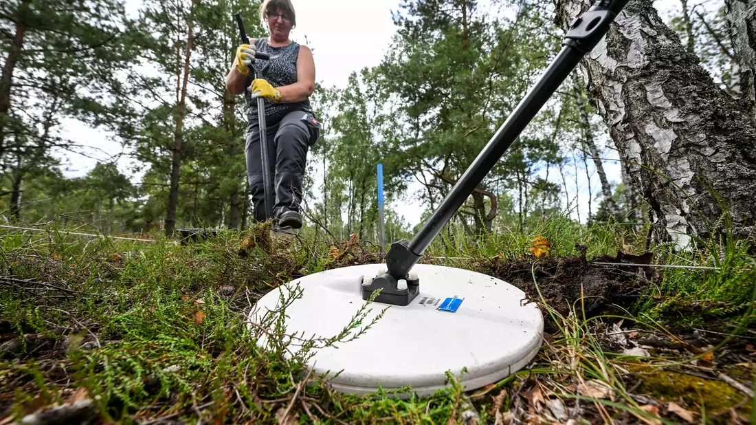 Verseuchtes Gebiet muss Zentimeter um Zentimeter abgesucht werden. (Archivbild) - Bild: Jens Kalaene/dpa