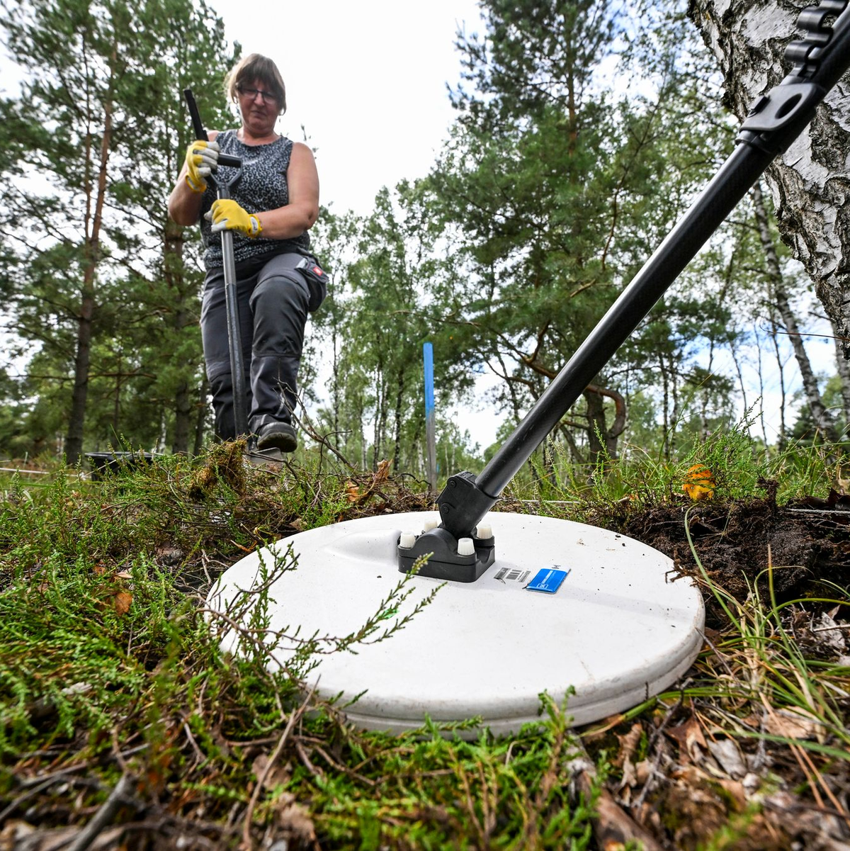 Verseuchtes Gebiet muss Zentimeter um Zentimeter abgesucht werden. (Archivbild) - Foto: Jens Kalaene/dpa