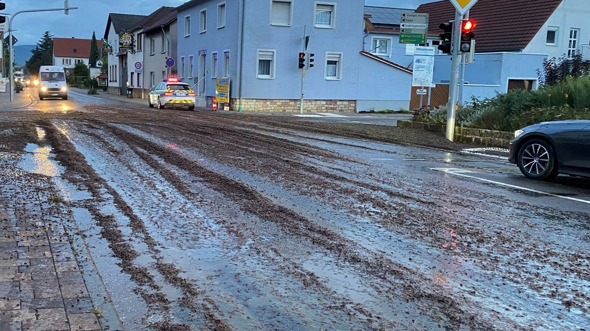 POL-PDLD: Nachtrag zur Pressemeldung: Gefahrenstelle durch verlorene Maische - Foto: presseportal.de