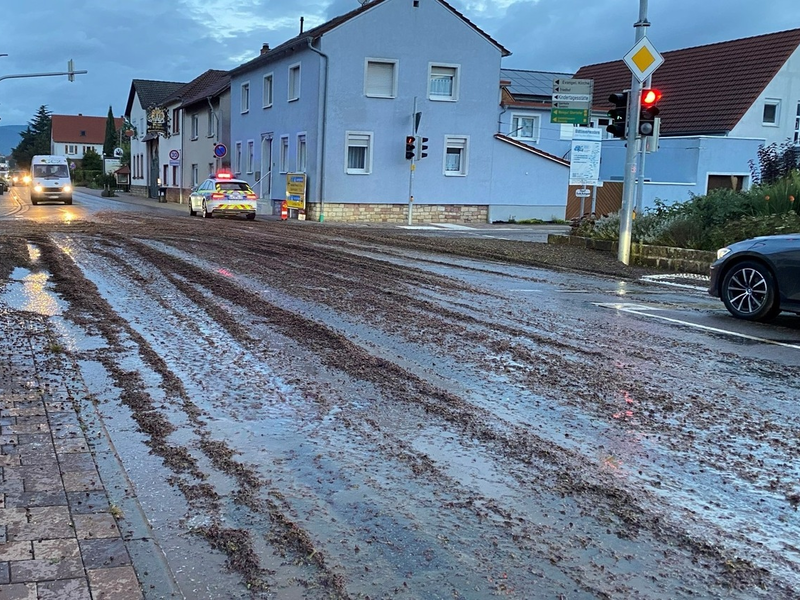 POL-PDLD: Nachtrag zur Pressemeldung: Gefahrenstelle durch verlorene Maische - Foto: presseportal.de