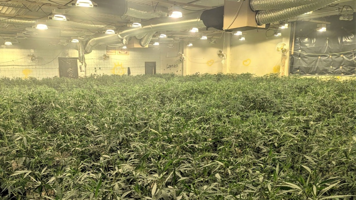LPI-NDH: Illegale Hanfplantage nach Feuerwehreinsatz entdeckt - Foto: presseportal.de