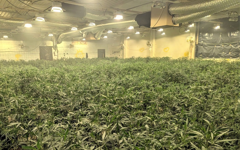LPI-NDH: Illegale Hanfplantage nach Feuerwehreinsatz entdeckt - Foto: presseportal.de