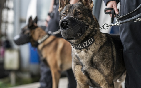 BPOL-HB: Nicht nur Polizeihunde beweisen guten Spürsinn - Foto: presseportal.de