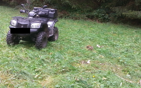 POL-PDKL: Täterduo in Dorf aktiv - Foto: presseportal.de