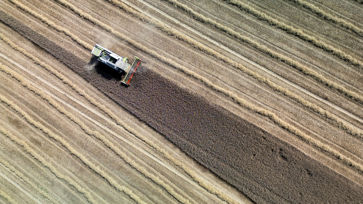 Land- und Forstwirtschaft könnten ihren Beitrag zur Klimaneutralität laut einer Studie in den nächsten Jahrzehnten deutlich steigern. (Archivbild)  - Foto: Andreas Arnold/dpa