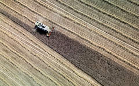 Land- und Forstwirtschaft könnten ihren Beitrag zur Klimaneutralität laut einer Studie in den nächsten Jahrzehnten deutlich steigern. (Archivbild)  - Foto: Andreas Arnold/dpa
