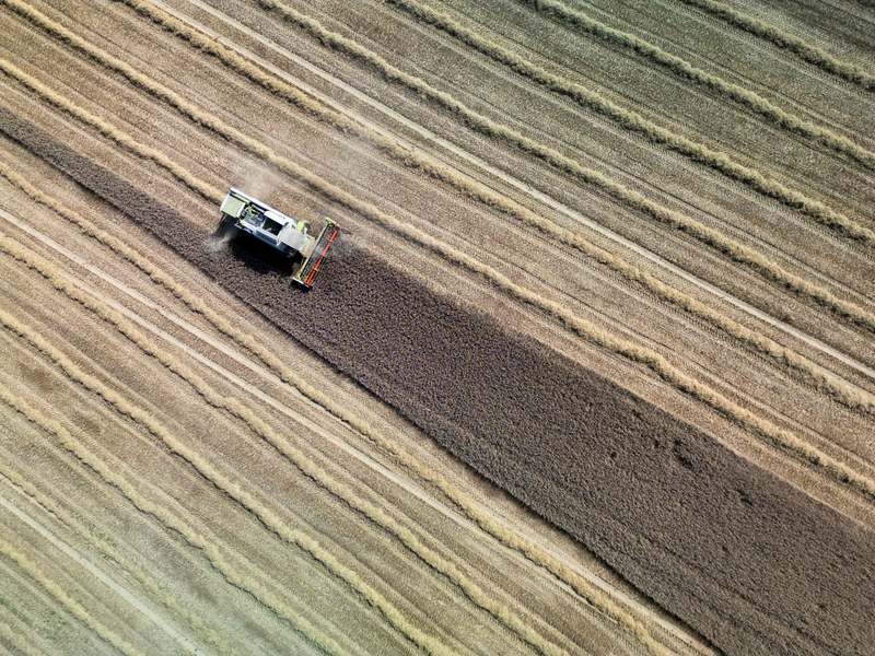 Land- und Forstwirtschaft könnten ihren Beitrag zur Klimaneutralität laut einer Studie in den nächsten Jahrzehnten deutlich steigern. (Archivbild)  - Foto: Andreas Arnold/dpa