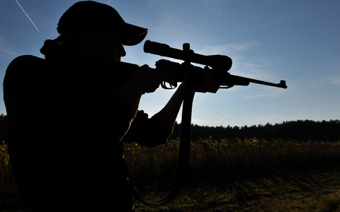Gegen die Jägerin wurde ein Waffenverbot verhängt. (Symbolbild) - Foto: Philipp Schulze/dpa