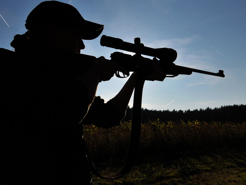 Gegen die Jägerin wurde ein Waffenverbot verhängt. (Symbolbild) - Foto: Philipp Schulze/dpa