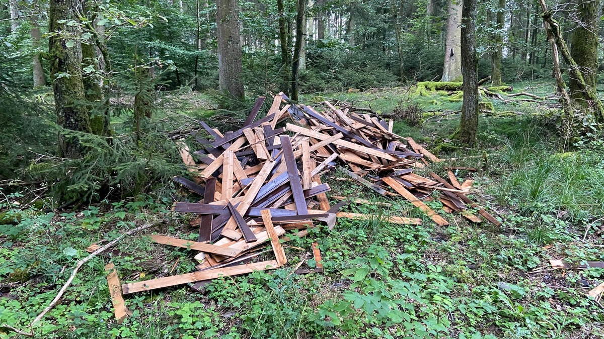 POL-PDTR: Illegale Müllentsorgung von Holzpaneelen - Foto: presseportal.de